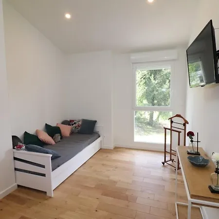 Maison De Caractere Avec Piscine Au Calme, Proche D'aurillac, Ideale Pour Vacances Et Activites En Plein Air - Fr-1-742-299 *